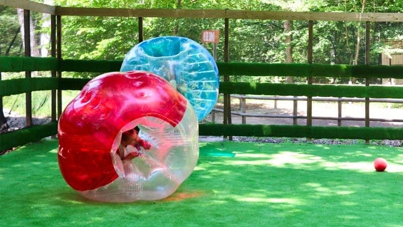 anniversaire adulte dijon